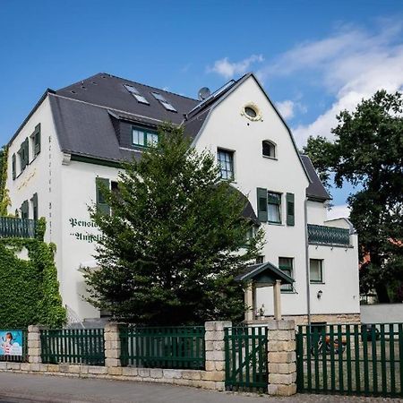 Villa Angelika Дрезден Экстерьер фото